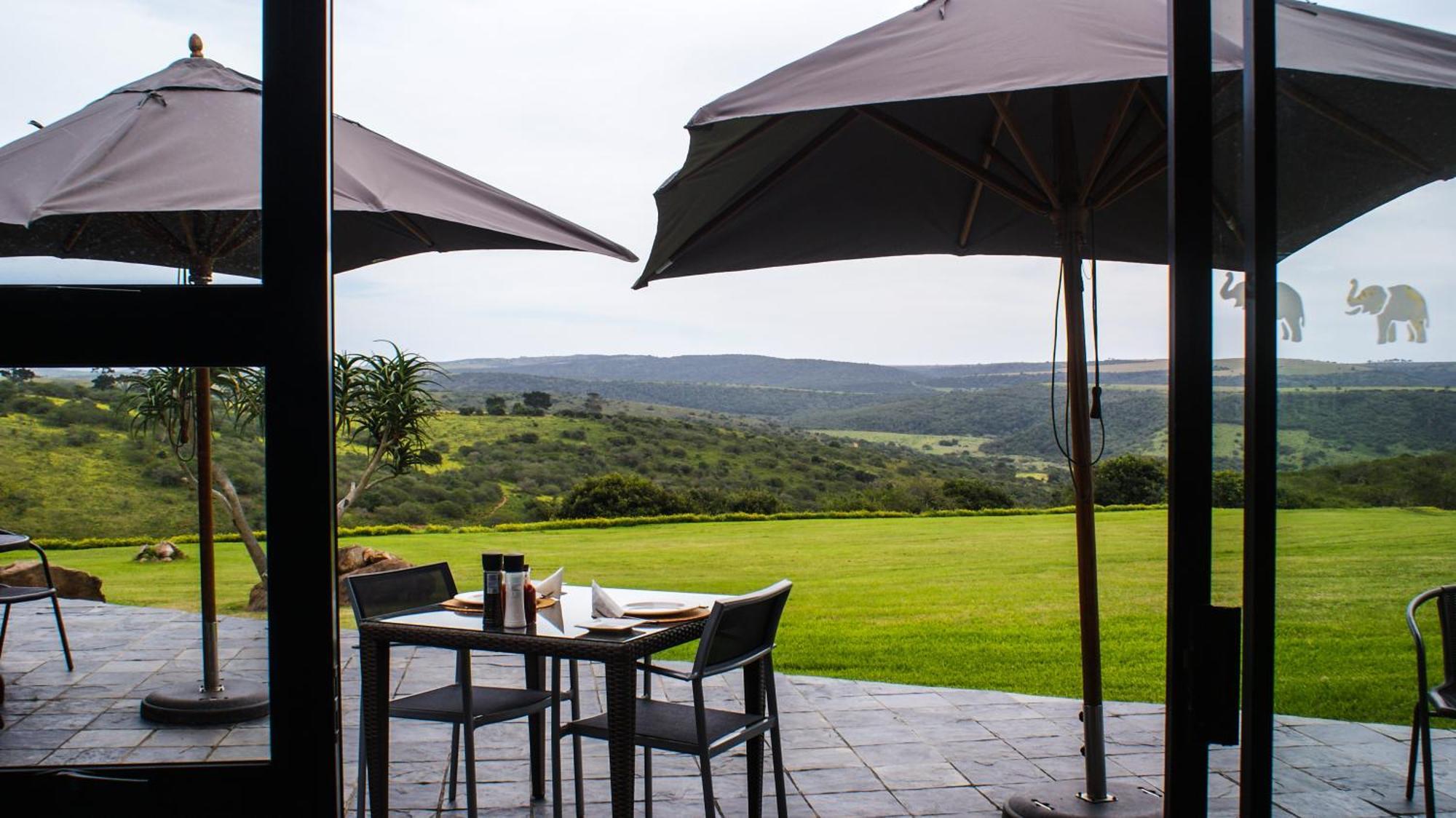 Umbono Private Game Lodge Alexandria  외부 사진