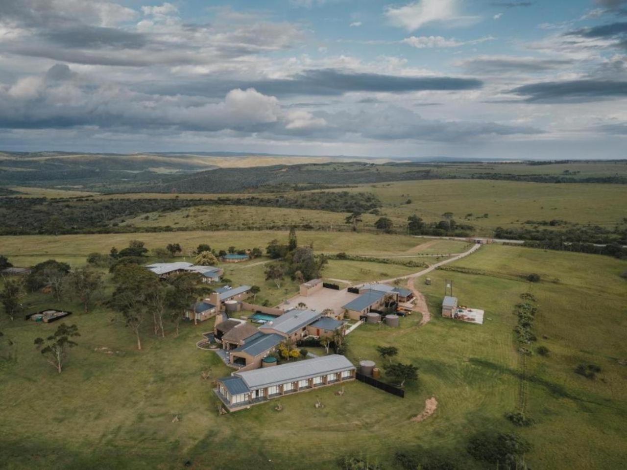 Umbono Private Game Lodge Alexandria  외부 사진