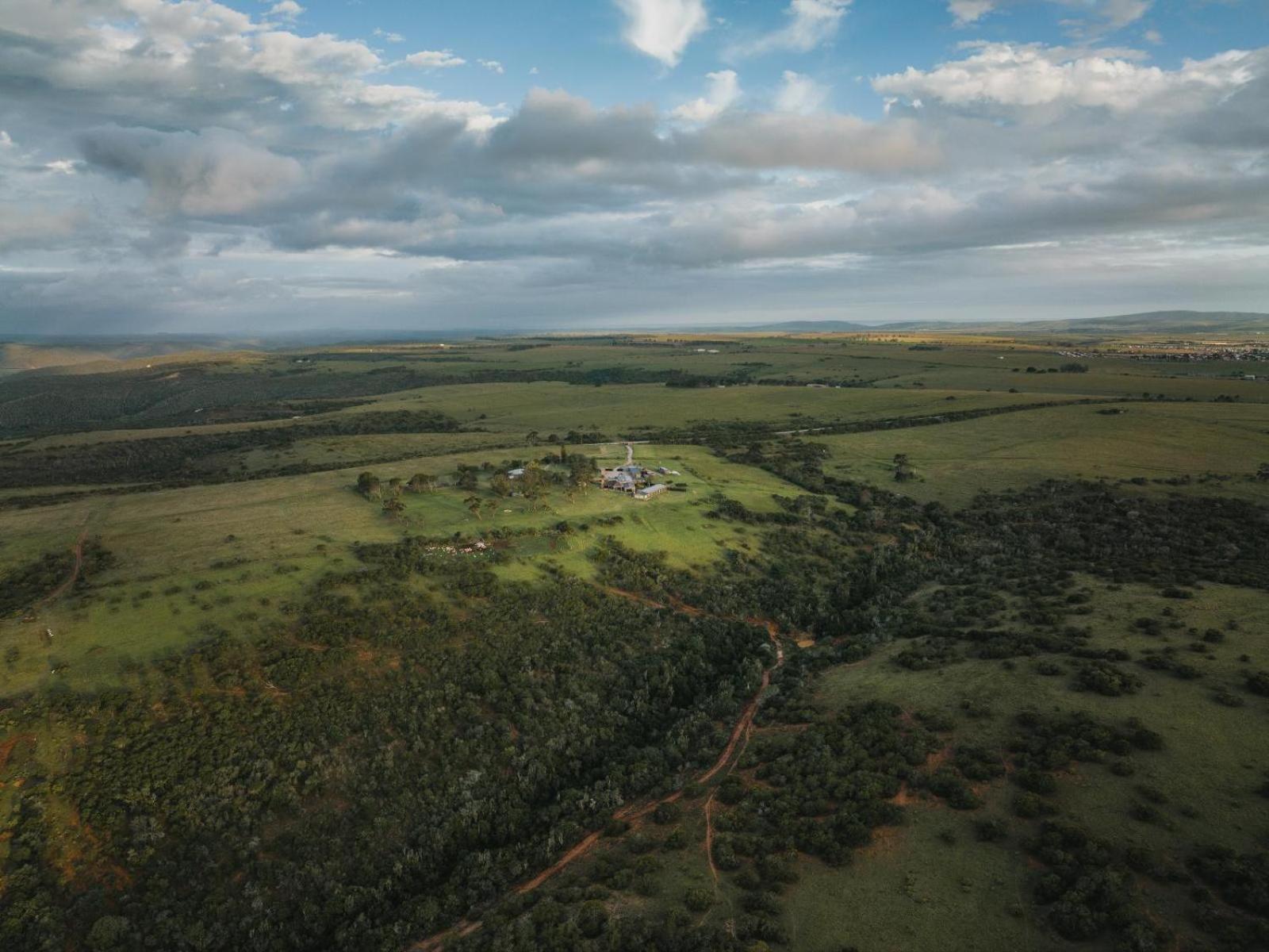 Umbono Private Game Lodge Alexandria  외부 사진