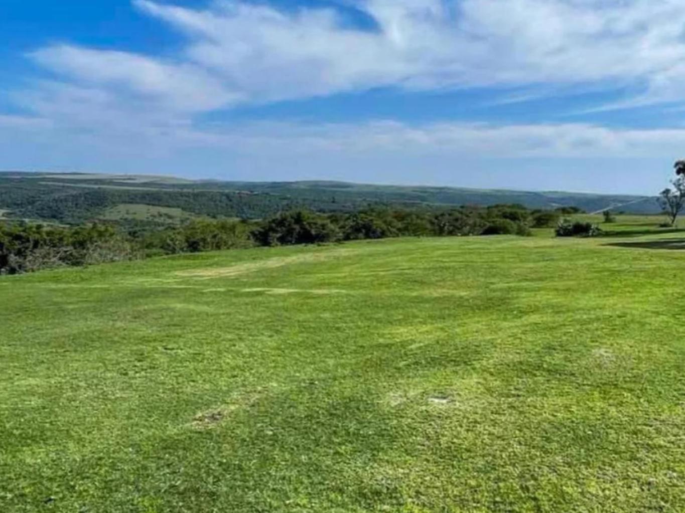 Umbono Private Game Lodge Alexandria  외부 사진